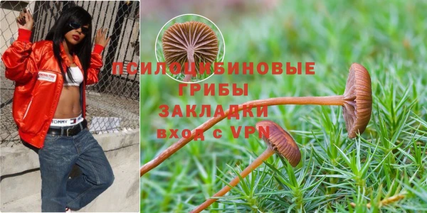 трава Алексин