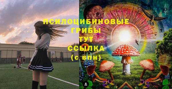 дурь Аркадак